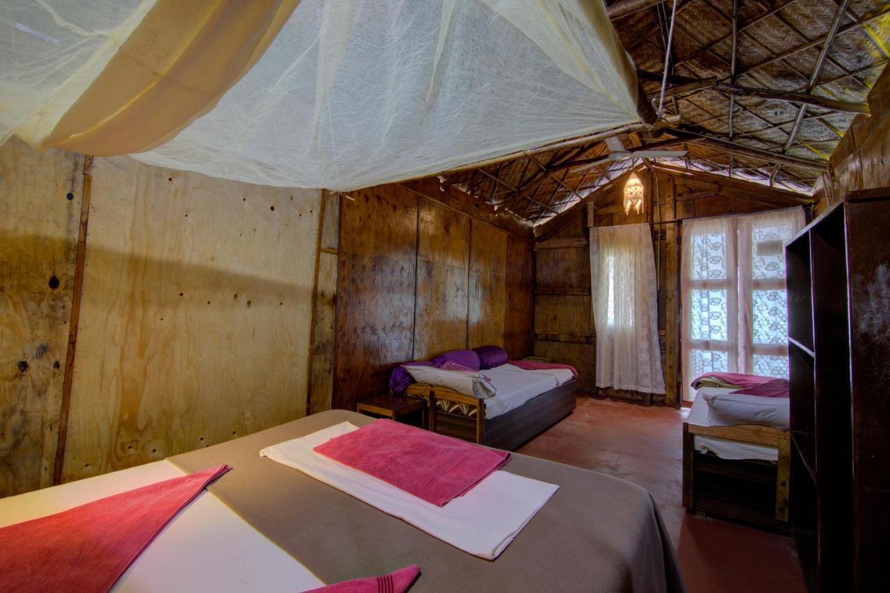 Molly'S Nest Hotel Mandrem Exterior foto