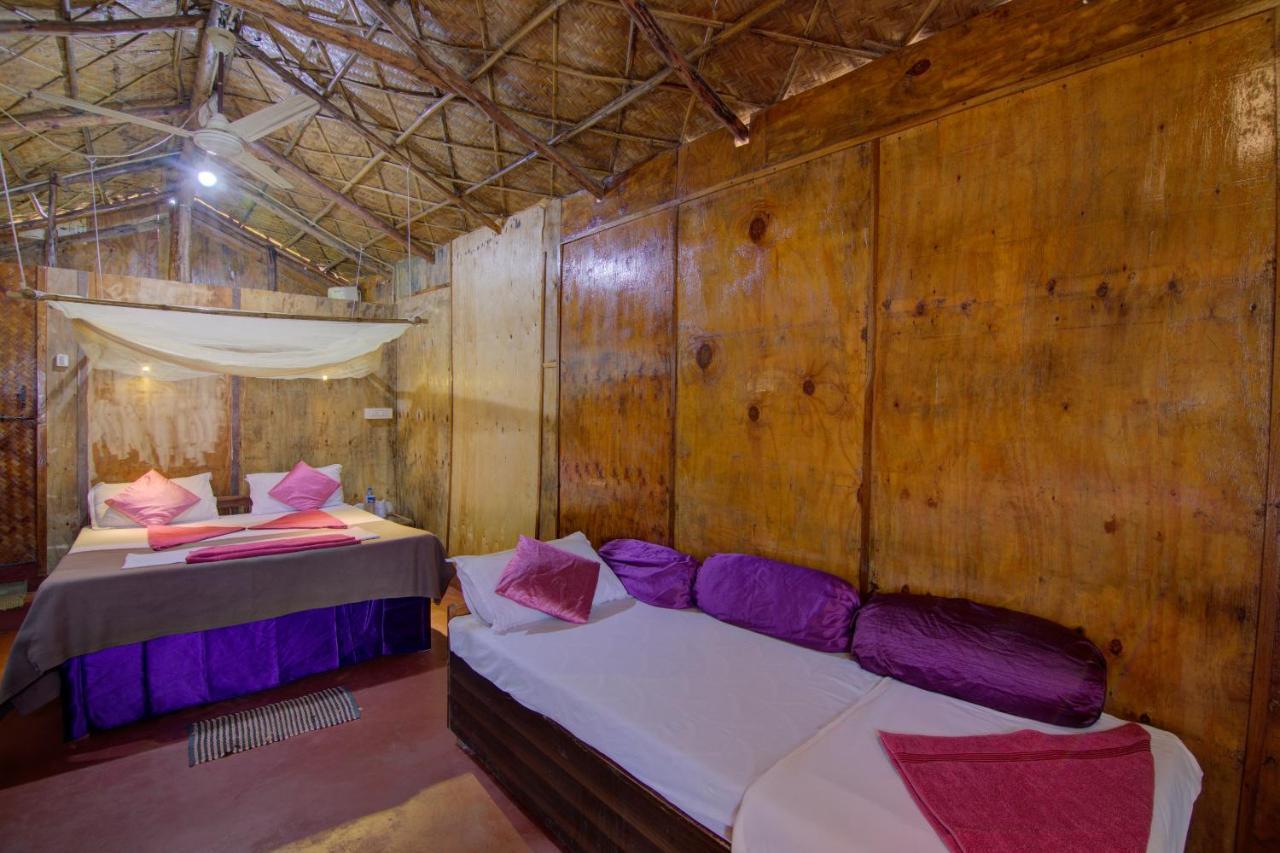 Molly'S Nest Hotel Mandrem Exterior foto