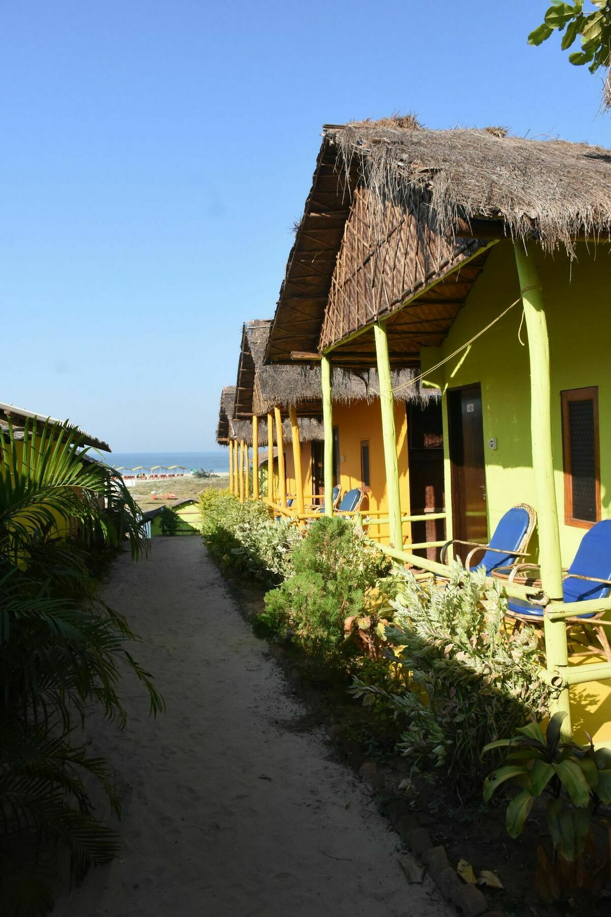 Molly'S Nest Hotel Mandrem Exterior foto